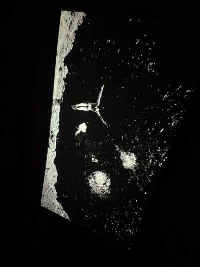 "Cliffs" by Cadence Films - © Oddity Paris