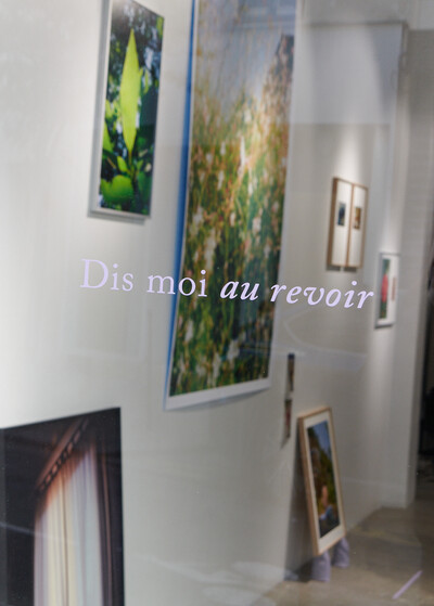 "Dis moi au revoir" by Emma Le Doyen - © Oddity Paris