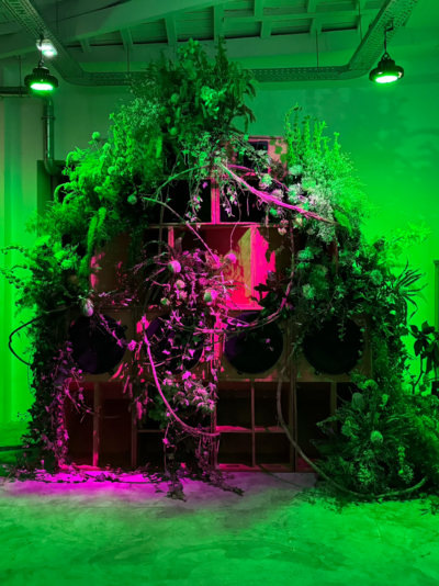 Pam X Puma Bio/Verse launch - © Oddity Paris