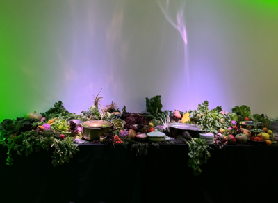 Pam X Puma Bio/Verse launch - © Oddity Paris