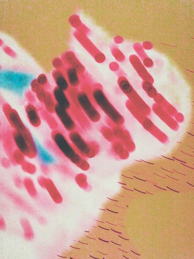 Low Jack - © Oddity Paris